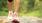 close-up of women's feet in running shoes outside